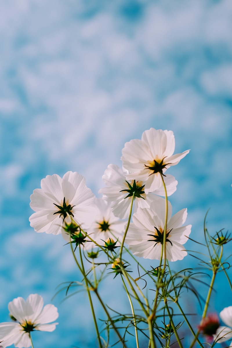 Inspired by Seasons: Spring Blooms for Gowns